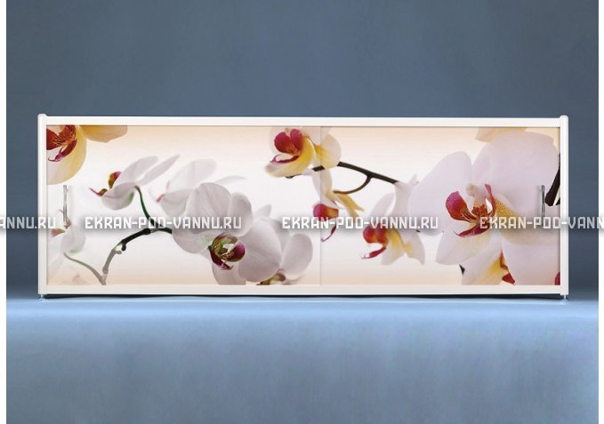 Раздвижной ФОТО экран - Orchid – купить по цене 8500 руб. в интернет-магазине в городе Екатеринбург картинка 1