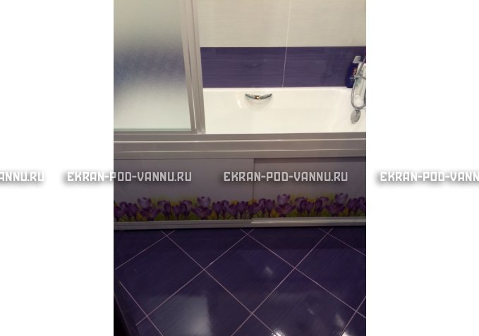 Экран на роликах EUROPLEX  Ирисы – купить по цене 12400 руб. в интернет-магазине в городе Екатеринбург картинка 4