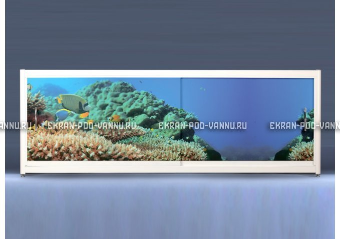 Экран на роликах EUROPLEX Коралловые рифы – купить по цене 12400 руб. в интернет-магазине в городе Екатеринбург картинка 1